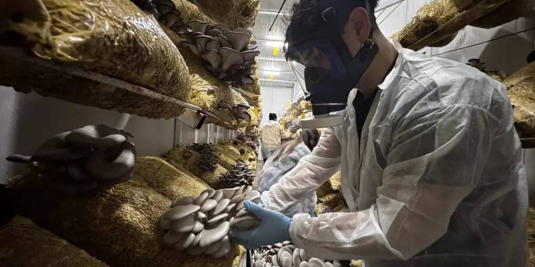 Genç girişimci üretiyor, 12 ay ürün alıyor: Zamanla ihracata geçmeyi hedefliyor 6